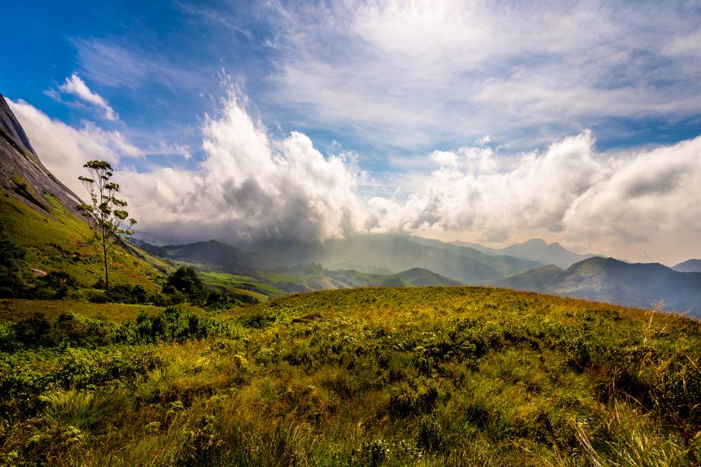 Eravikulam National Park (15).jpg